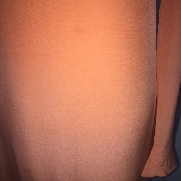 Hand-Painted Silk Gown - Picture 4 of 8